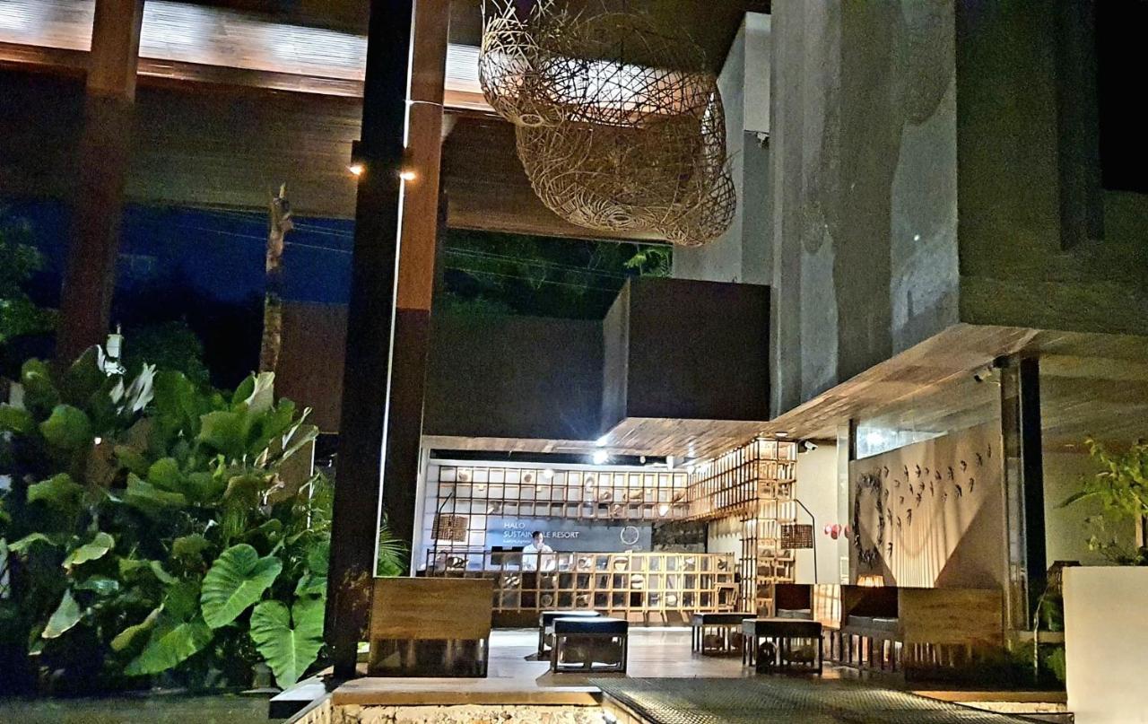 Halo Sustainable Resort קרימונג'אווה מראה חיצוני תמונה